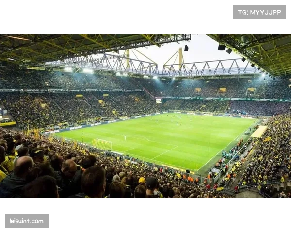 欧洲足球支持者组织批评欧冠决赛选址决策过度商业化，忽视球迷负担